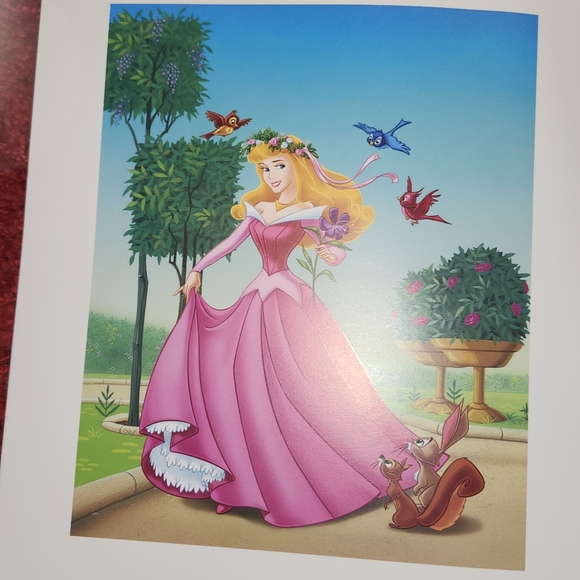 Cinderella and Sleeping Beauty - Picture 3 of 5